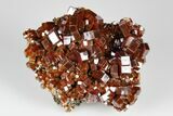 Deep Red Vanadinite Crystal Cluster - Huge Crystals! #178363-1